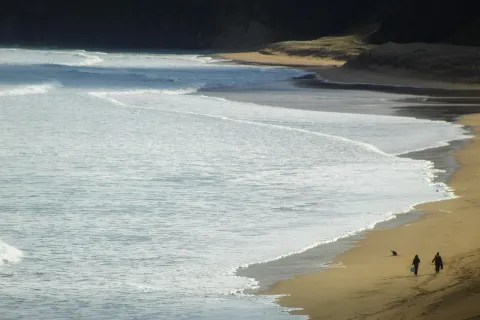 Tides can change very quicky, and can catch many visitors to the coast out