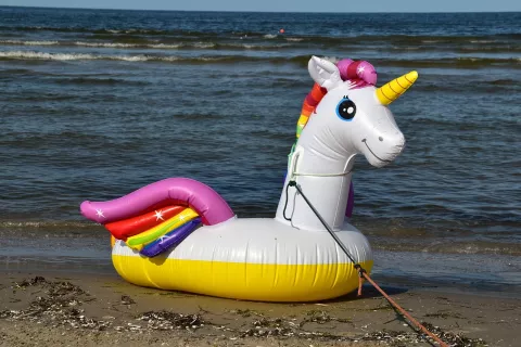 Inflatable unicorn on the water's edge of a beach