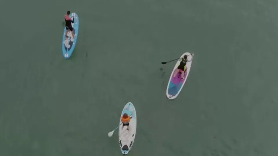 Aerial view of three people standup paddle-boarding on the sea