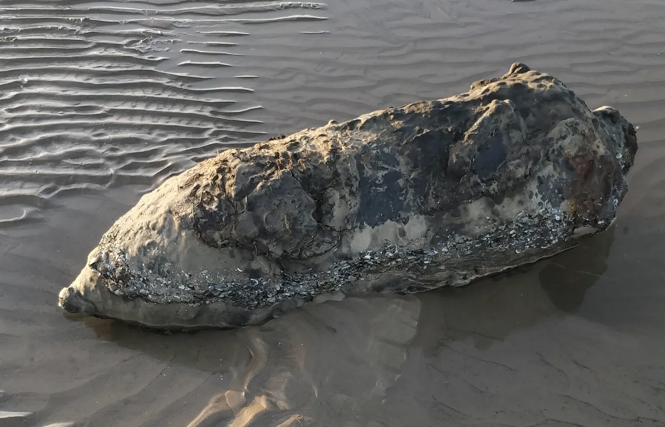 Ordnance on beach