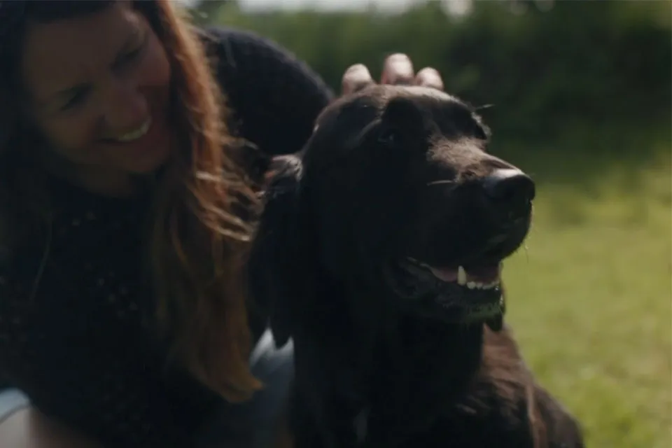 A chocolate Labrador with her female owner