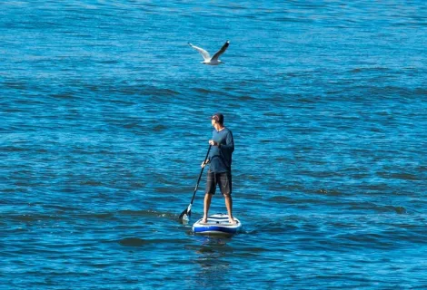 Paddleboarder
