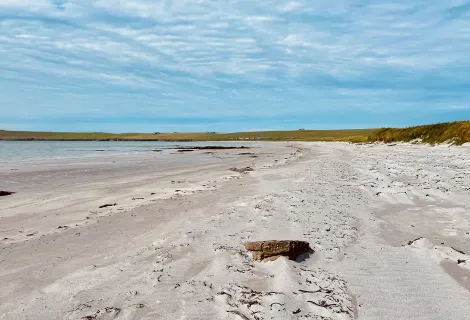 The incident happened in a remote part of Scotland    Picture: Tom Ebbens