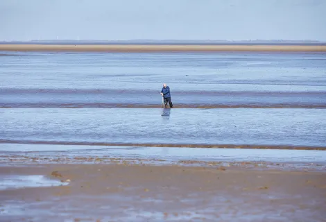 Stuck in the mud on a tidal flat (also known as a mudflat), it happens very easily, very quickly and with little warning, so know what to do if the worst happens