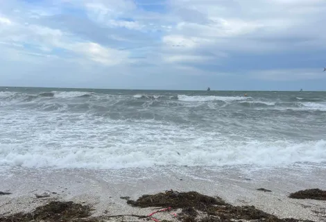 Gylly Beach in Falmouth, Cornwall 