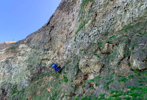 The clifftops at Marsden Grotto in South Shields. 
