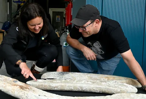 Two people crouch as they survey three large lead ingots on the ground