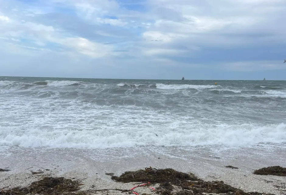 Gylly Beach in Falmouth, Cornwall 